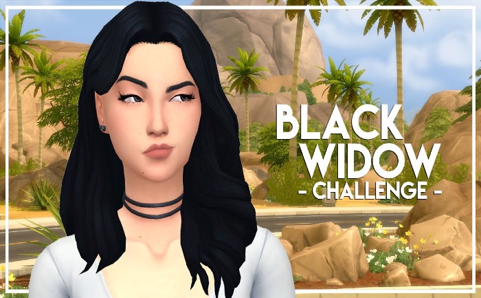 Sims 4 Challenges
