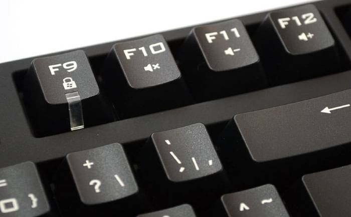 Win­dows 10 Taskbar Not Hid­ing Guide