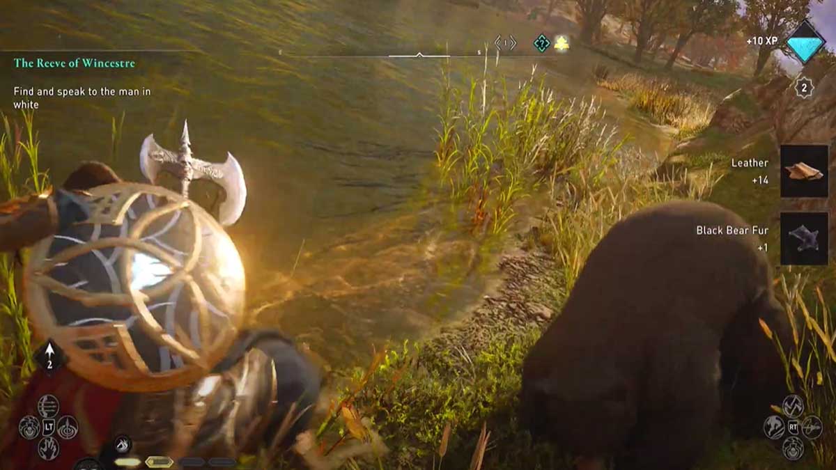 AC Valhalla Black Bear Fur Location