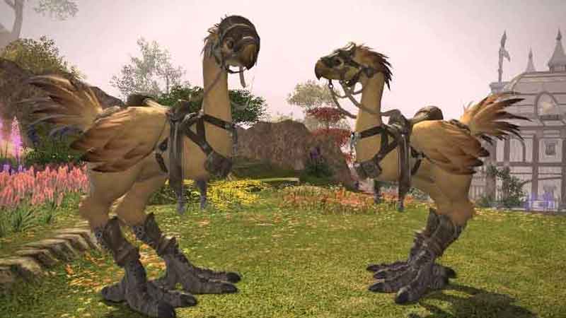 How To get Thavnairian Onions In Final Fantasy XIV