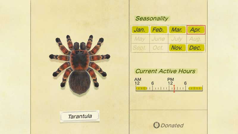 How To Catch Spiders & Visit Tarantula Island In Animal Crossing New Horizons?