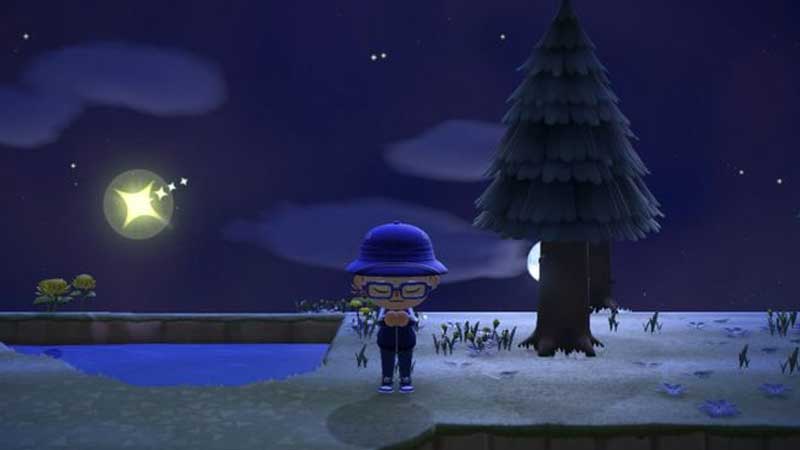 Animal Crossing Shooting Star Time
