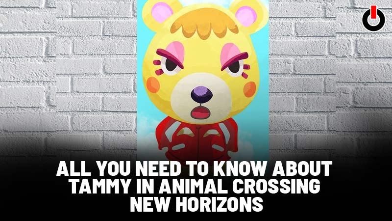 Tammy Animal Crossing