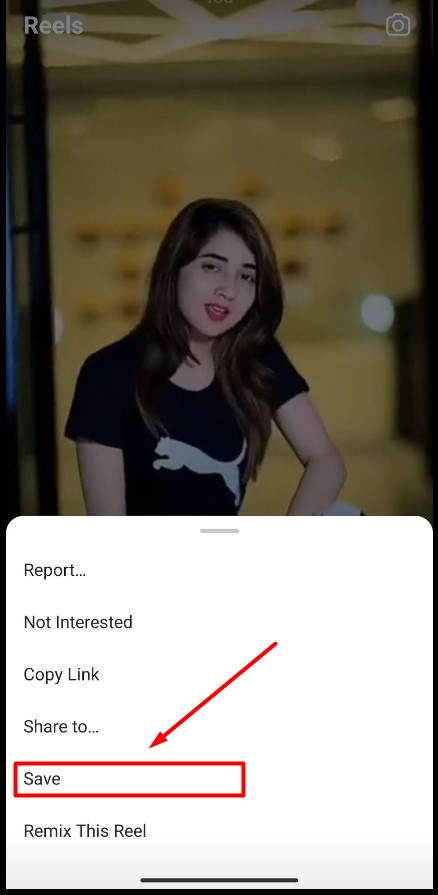 Instagram Reels Video Download
