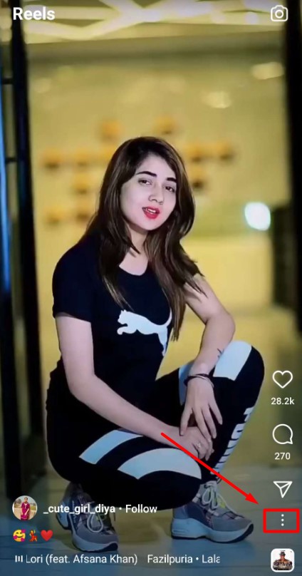 Instagram Reels Video Download