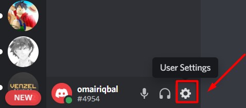 Discord Profile customization