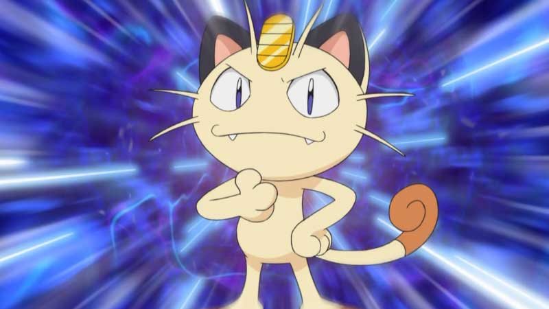 Cat Pokemon