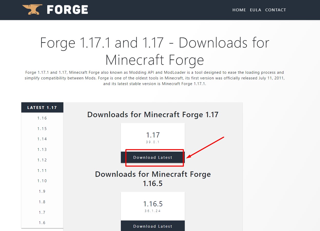 Minecraft 1.17 Forge Download