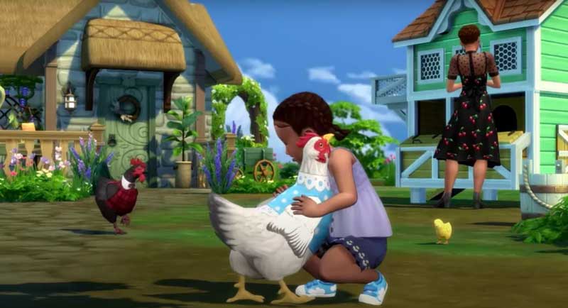 chicken coop