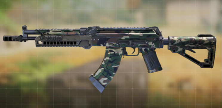 Best AR Gun In COD