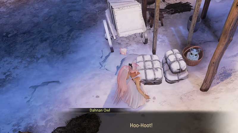 All Owl Locations in Tales of Arise