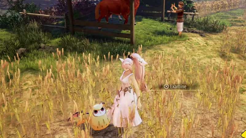 All Owl Locations in Tales of Arise