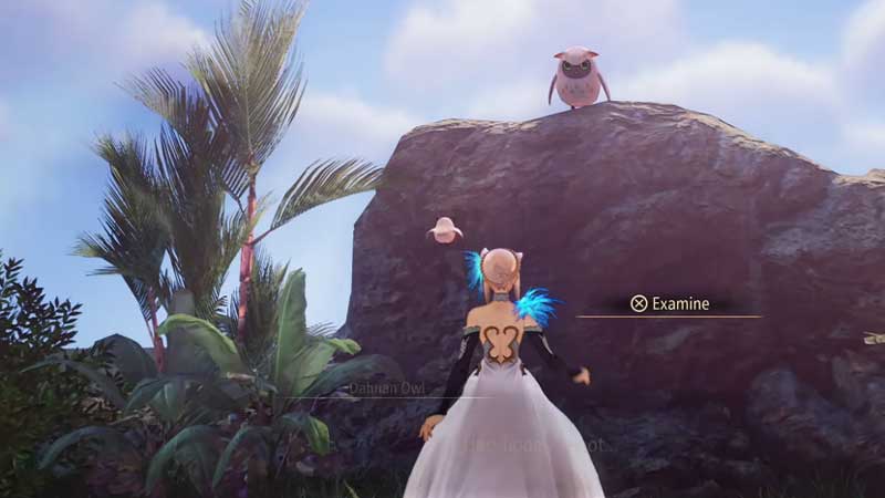 All Owl Locations In Tales Of Arise