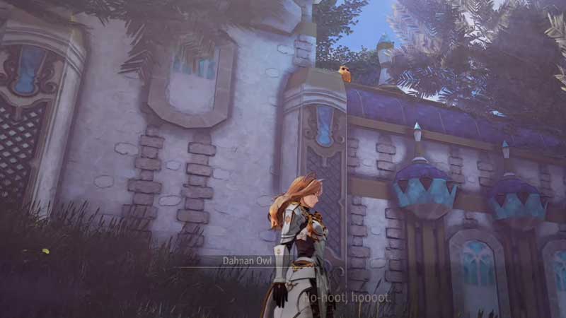 All Owl Locations in Tales of Arise