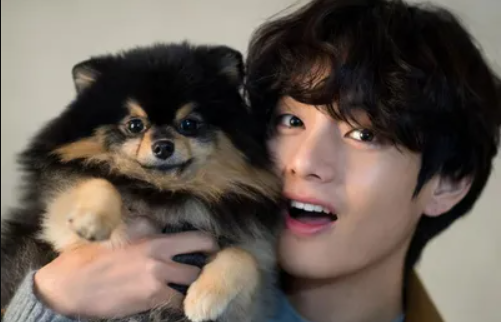 v BTS