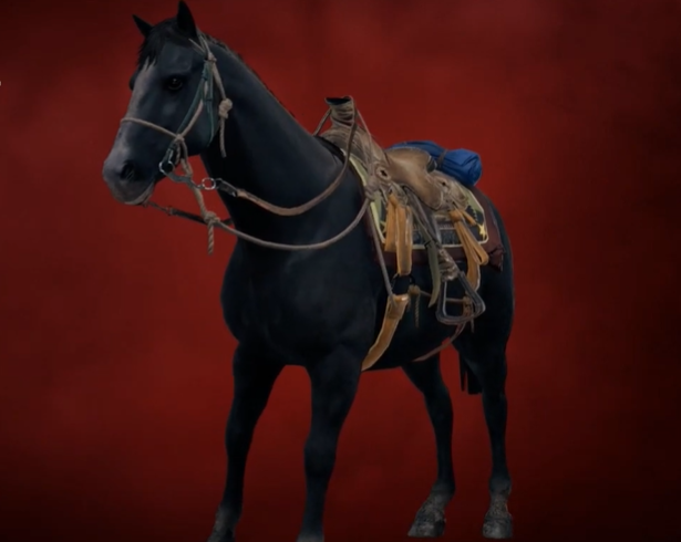 Far Cry 6 all horses locations