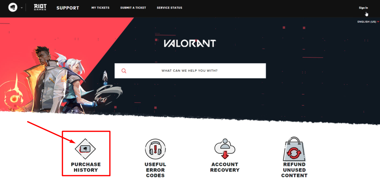 How much have I Spent on Valorant