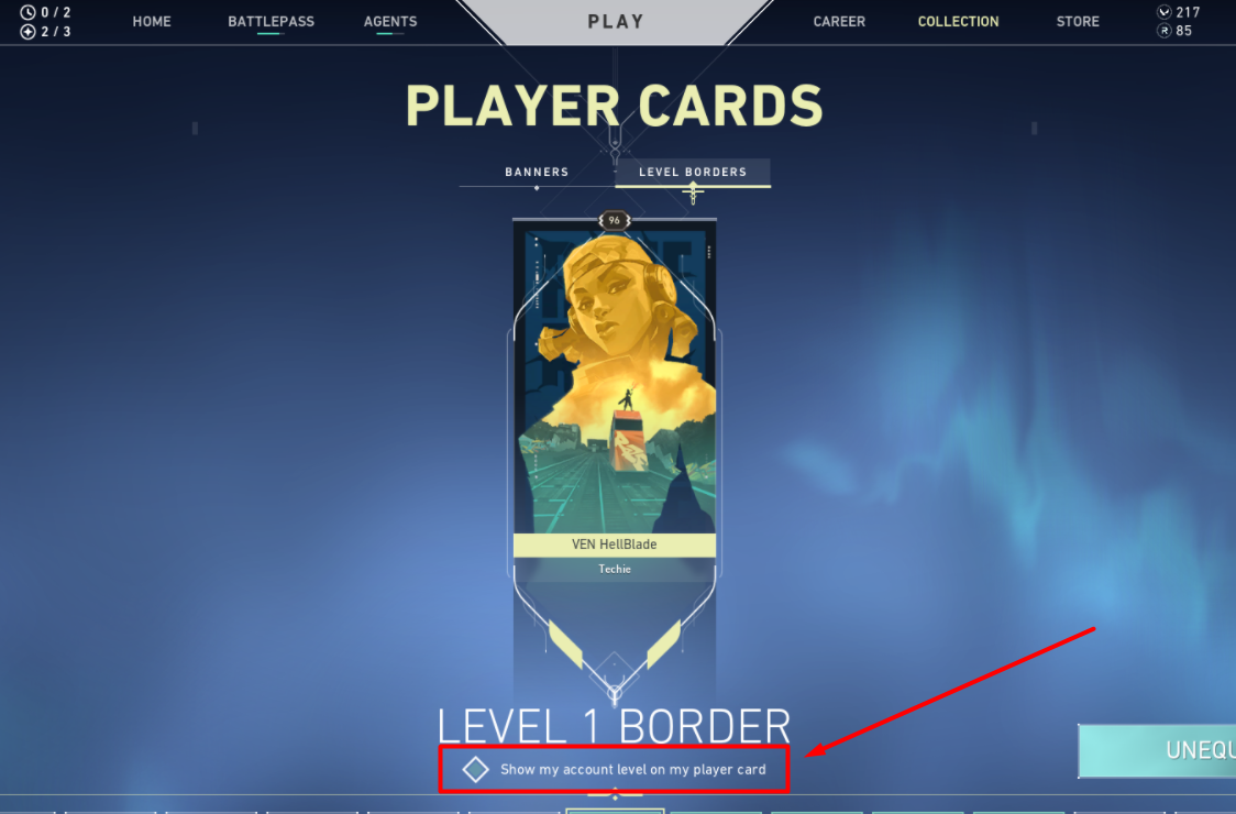 how to hide your level in Valorant