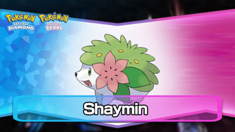 Pokemon BDSP Shaymin Glitch: Brilliant Diamond Shining Pearl Surf Bug