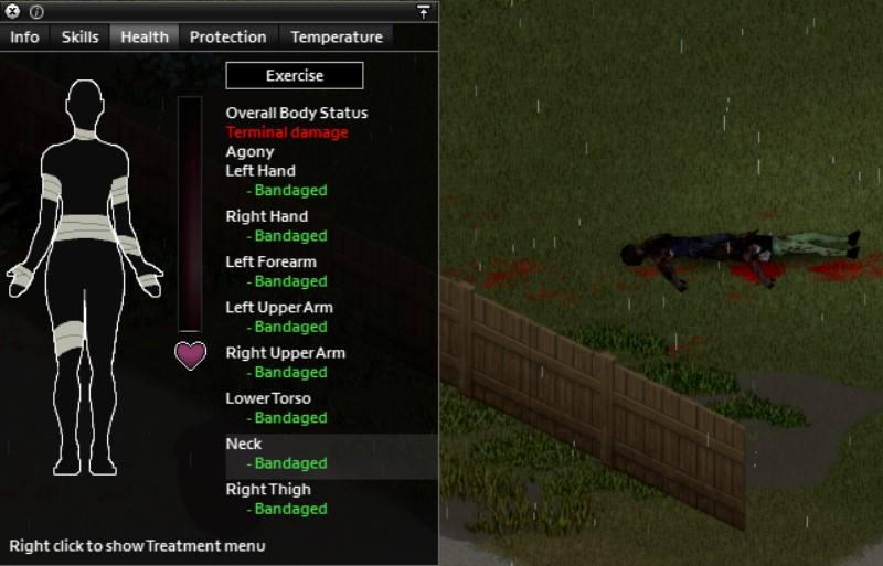 Deep Wound Project Zomboid