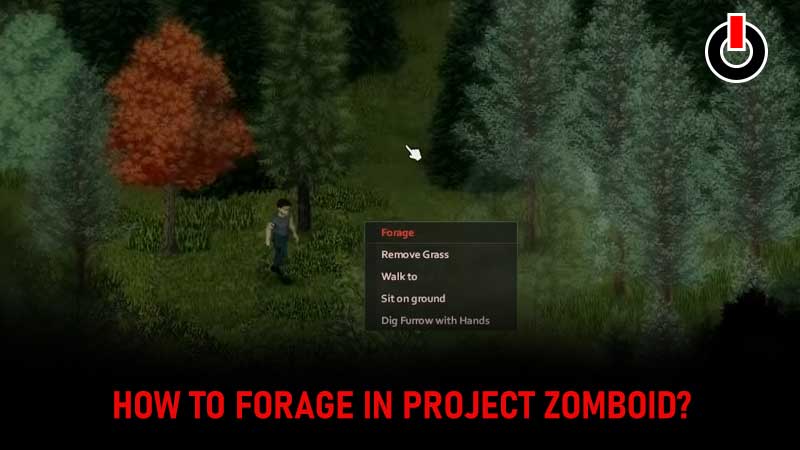Forage-Project-Zomboid