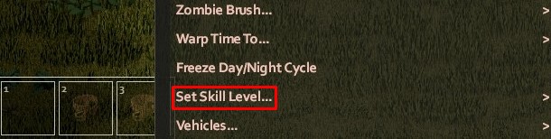 Project Zomboid Cheats Set Skill Level