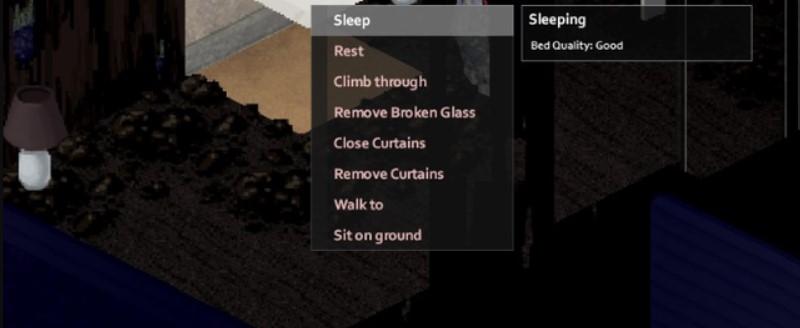 Project Zomboid Sleep Save Game