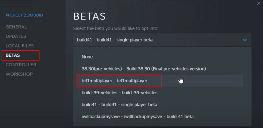 Project Zombroid multiplayer