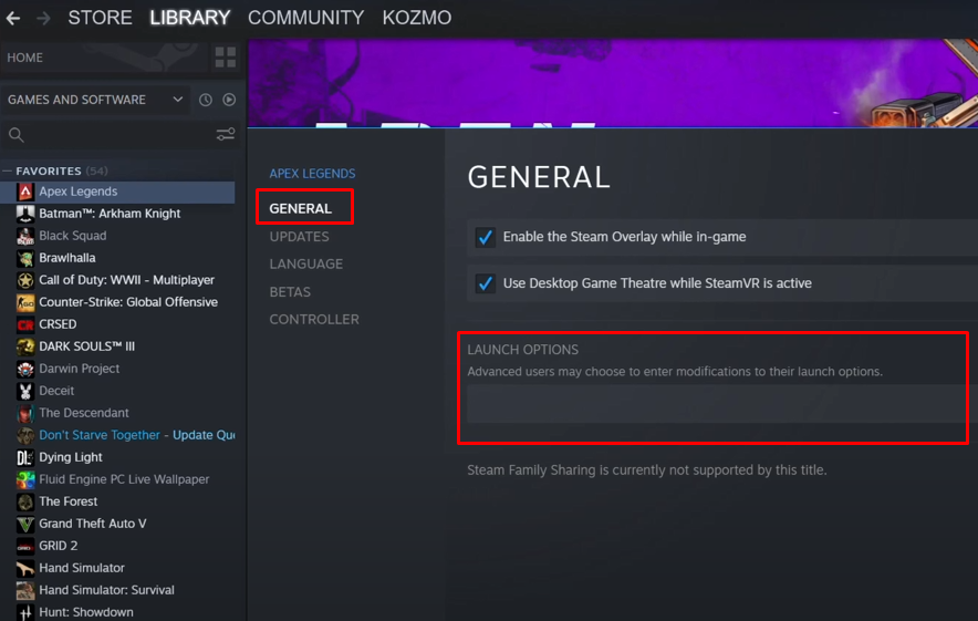 Apex Legends launch options