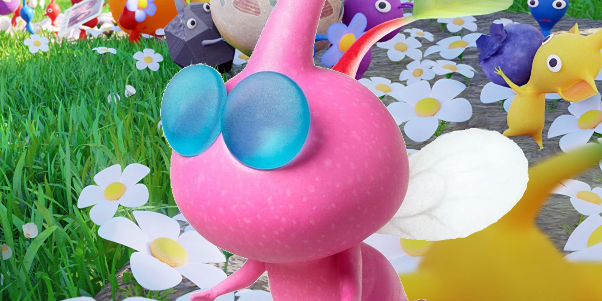 types of flowers Pikmin Bloom