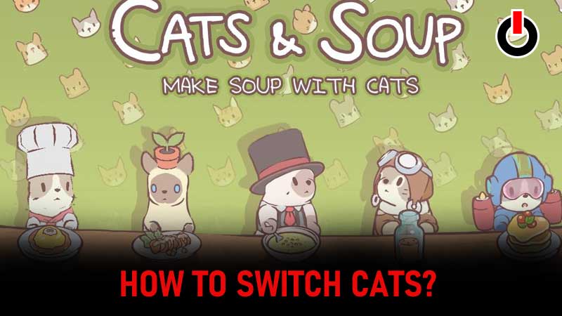 switch cats in Cats & Soup