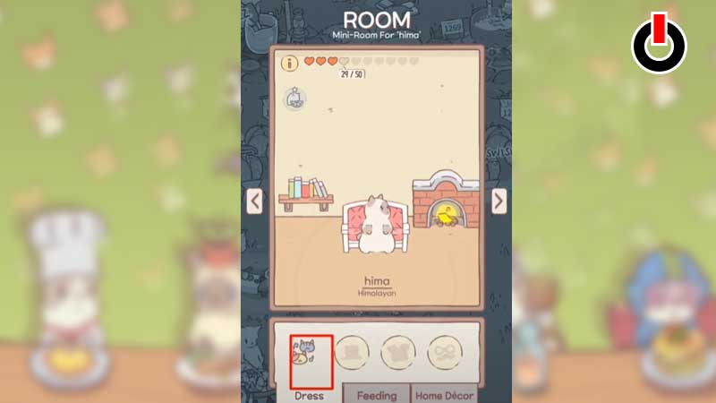 switch cats in Cats & Soup