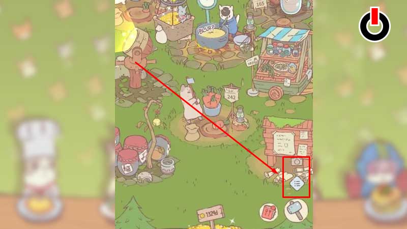 switch cats in Cats & Soup