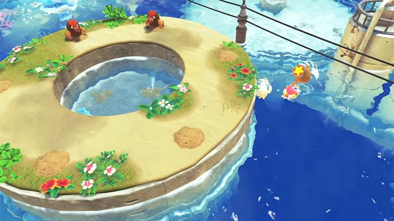 Digguhs on the ring-shaped island