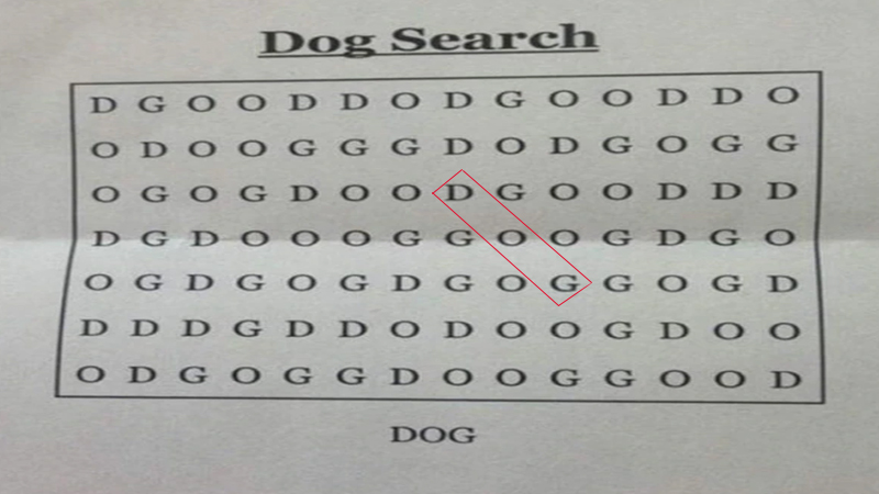 Dog-Puzzle-Search-Answer