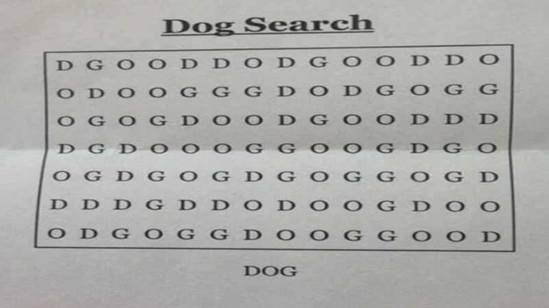 Dog-Puzzle-Search