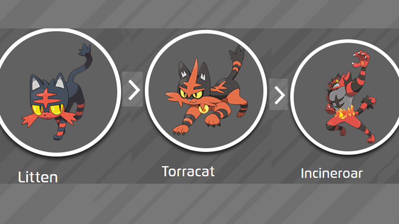 Litten Pokemon Go