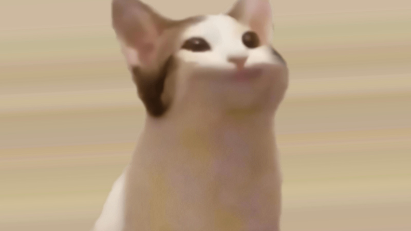 Popcat