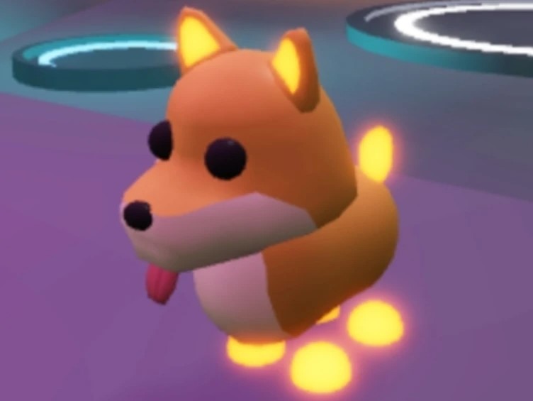 Shiba-Inu-Adopt-Me