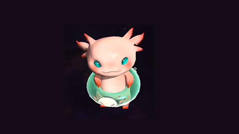 New Pet- Zasil
