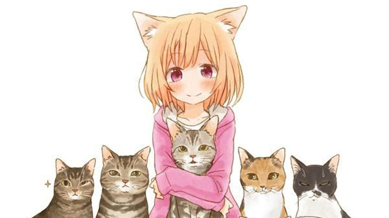 What is a Discord Kitten?
