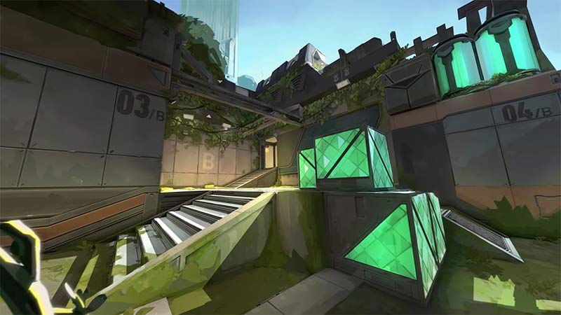 Fracture