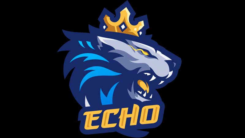 Best-Teams-In-Free-Fire-World-Series-Echo-Esports