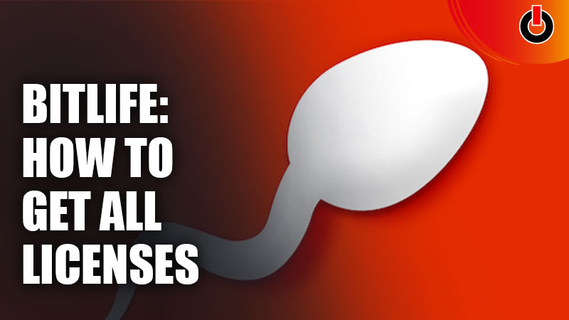 BitLife How To Get All Licenses