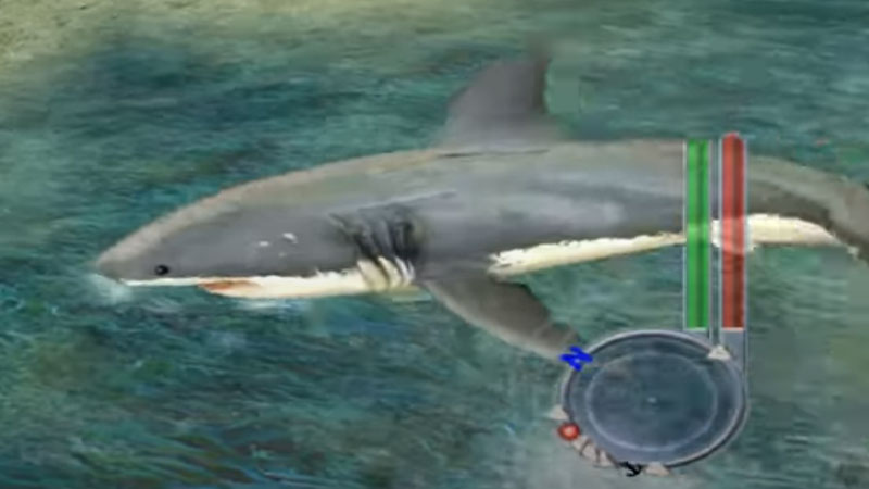 jaws unleashed