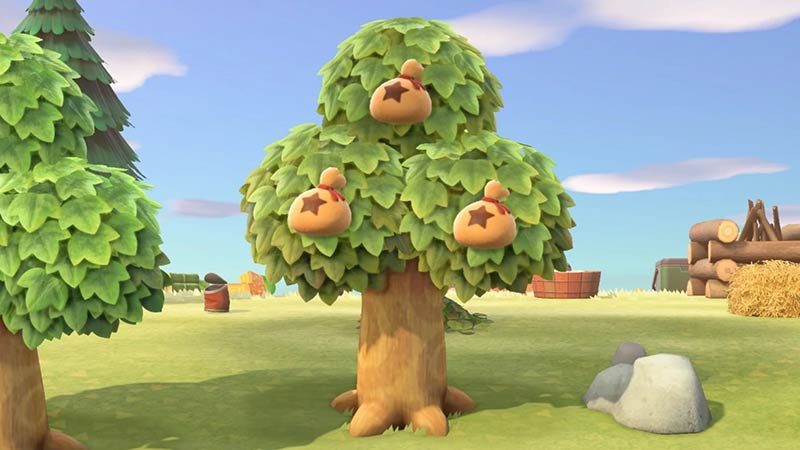 How To Get A Money Tree In Animal Crossing