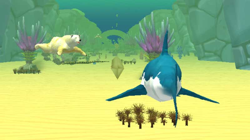 shark attack