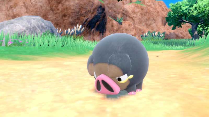 Lechonk-Pokémon-stats,-moves,-evolution-&-locations-H2