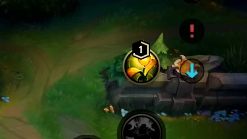 wards lol wild rift