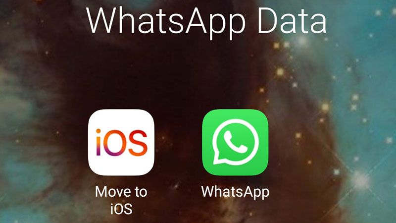 WhatsApp data transfer